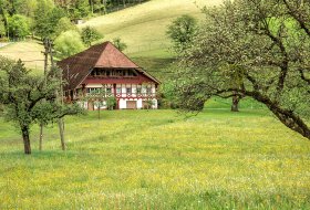 Phoca Thumb M Bauernhof Oberwolfach 3413 2017